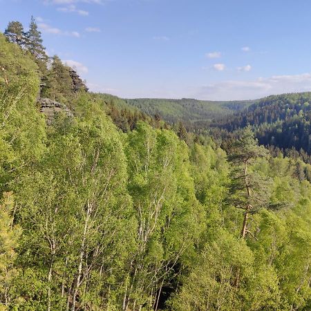 Ferienwohnung Saechsische Schweiz Rosenthal-Bielatal Exteriér fotografie